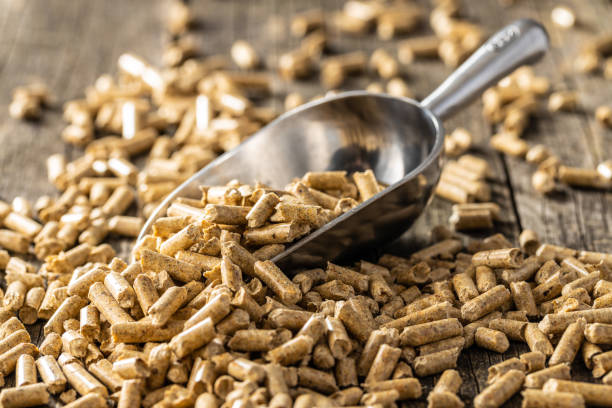 Wooden pellets in scoop. Ecological heating. Wooden pellets in scoop. Ecological heating.
